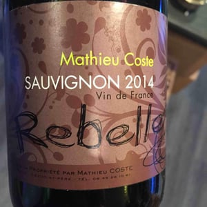 Rebelle Blanc - Domaine Bio Coste - mathieu-coste