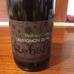 Rebelle Blanc - Domaine Bio Coste - mathieu-coste