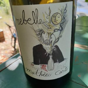 Rebelle Blanc - Domaine Bio Coste - Mathieu Coste 