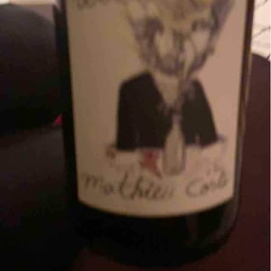 Domaine Bio Coste - Mathieu Coste - Rebelle Blanc