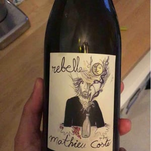Domaine Bio Coste - Mathieu Coste - Rebelle Blanc