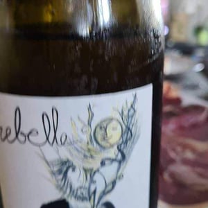 Rebelle Blanc - Domaine Bio Coste - mathieu-coste