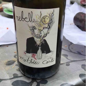 Domaine Bio Coste - Mathieu Coste - Rebelle Blanc
