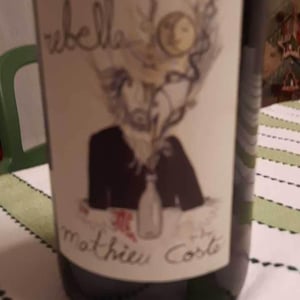 Rebelle Blanc - Domaine Bio Coste - mathieu-coste