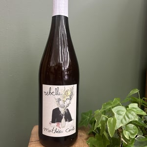 Rebelle Blanc - Domaine Bio Coste - mathieu-coste