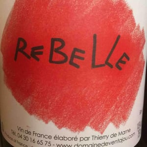 Rebelle - Domaine De Ventajou - Thierry De Marne 