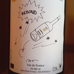 Rebond - Domaine Ledogar - xavier-mathieu-benoit-ledogar -2022