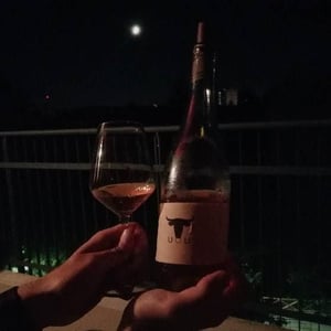 Rebula Ivanka - Marinko Pintar - Marinko Pintar -2019