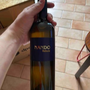 Rebula - Nando - andrej-kristancic