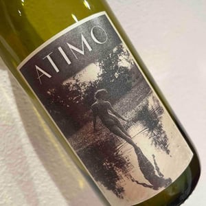 Rebula - Atimo Wines - filip-koletnik -2019