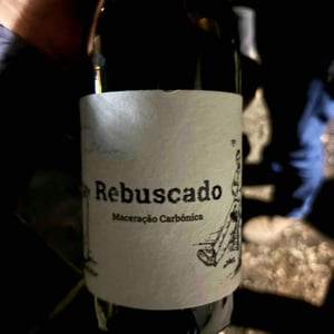 Rebuscado Maceração Carbónica - Folias de Baco - Tiago Sampaio 