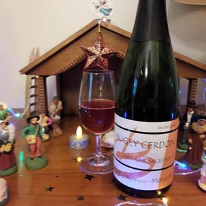 Récolte Cécile - Domaine Philippe Balivet - cecile-vincent-balivet