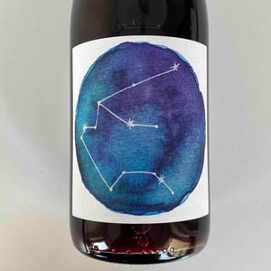 Red Aquarius - Jan-Philipp Bleeke - Winemaking - jan-philipp-bleeke -21