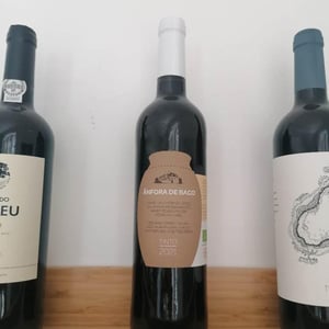 Ânfora De Baco Tinto - Quinta do Montalto - andre-gomes-pereira