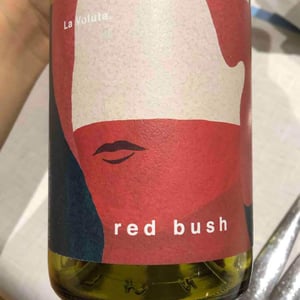 Red Bush - La Voluta - Anna Rubio & Jean-Benoît Vivequain 