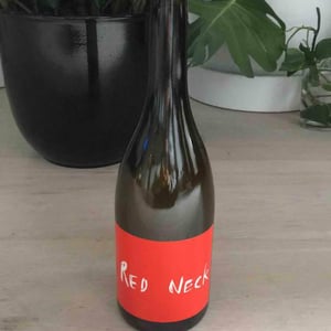 Red Neck - Peaux Rouges - Jean-Guillaume Caplain 
