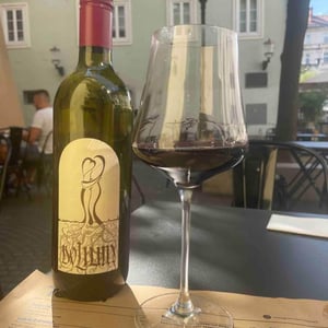 Rdeče Vino - Vinarstvo Zorjan - Marija & Božidar Zorjan -2020