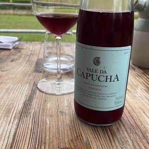 Palhete - Vale da Capucha - pedro-marques