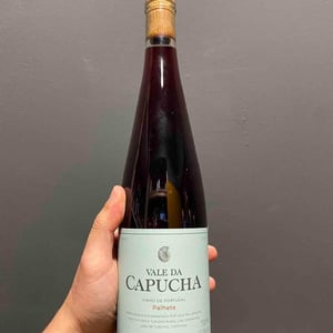 Palhete - Vale da Capucha - pedro-marques