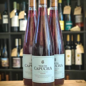 Palhete - Vale da Capucha - pedro-marques