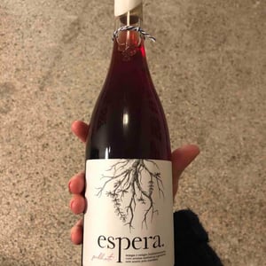 Palheto - Espera Wines - rodrigo-martins