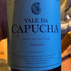 Palhete - Vale da Capucha - Pedro Marques 