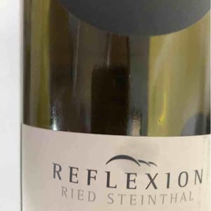 Reflexion Cabernet Ried Steinthal - Bioweingut Johannes Zillinger - johannes-zillinger -2017