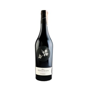 Reflexion Sankt Laurent Ried Steinthal - Bioweingut Johannes Zillinger - Johannes Zillinger -2017