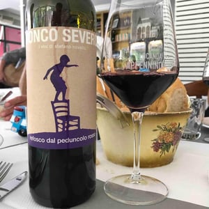 Refosco Dal Peduncolo Rosso - Ronco Severo - Stefano Novello 