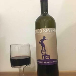 Refosco Dal Peduncolo Rosso - Ronco Severo - stefano-novello