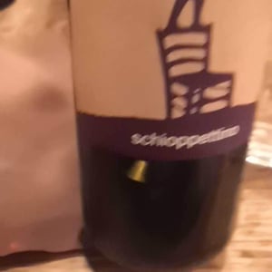 Refosco Dal Peduncolo Rosso - Ronco Severo - stefano-novello