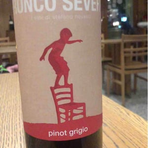Refosco Dal Peduncolo Rosso - Ronco Severo - Stefano Novello 