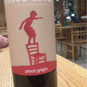 Refosco Dal Peduncolo Rosso - Ronco Severo - Stefano Novello 