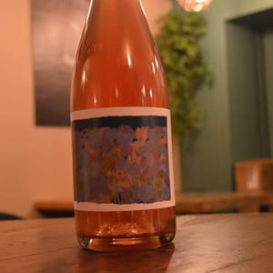 Regain - Domaine Sous le vent - Robin et Eve -2021