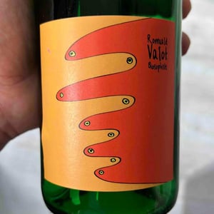 Régnié - Les Sauvageons - cosima-and-romuald-valot