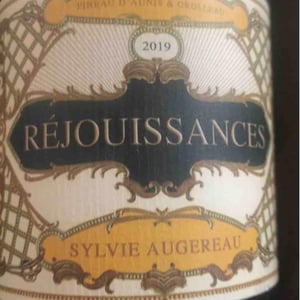 Réjouissances - Sylvie Augereau - Sylvie Augereau 