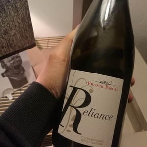 Reliance Brut Nature 2010