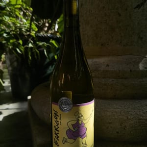 Remix Blanco - Vinos Barrigones - jaime-niembro-julio-rodriguez-daniela-jimenez -2022