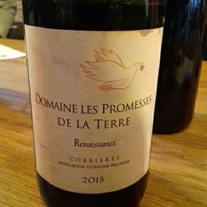 Renaissance 2015 - Les Promesses de la Terre - Bruno Weiller (Closed)