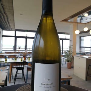 Renards - Domaine Jousset - lise-bertrand-jousset -2018