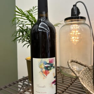 Rencontre - Domaine Ansodelles - Anne Rouxelin 