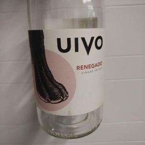 Folias de Baco - Tiago Sampaio - Uivo Renegado (Label from 2019)