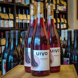 Uivo Renegado Vinhas Velhas Tinto - Folias de Baco - Tiago Sampaio 