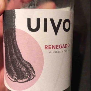 Folias de Baco - Tiago Sampaio - Uivo Renegado (Label from 2019)