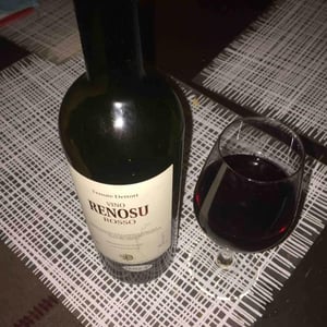 Renosu 2013