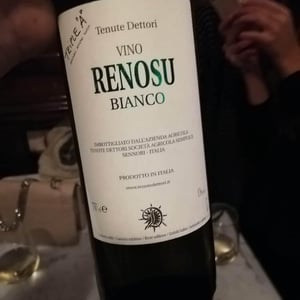 Renosu Bianco - Tenute Dettori - alessandro-dettori