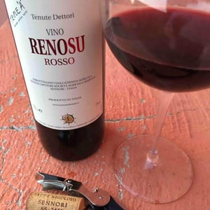 Tenute Dettori - Alessandro Dettori - Renosu Rosso