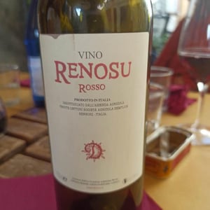 Renosu Rosso - Tenute Dettori - alessandro-dettori