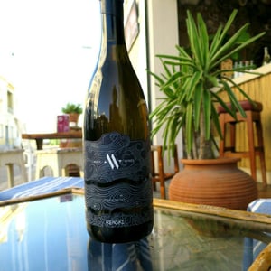 Renski - Matic Wines - matija-zerjav