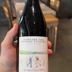 Replat de Vavre - Domaine des Jeunes Pousses - 2ème génération - Thaïs Lamy & Juliette Lumeau 